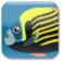 Saltwater Fish Animation