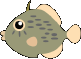 魚アイコン カワハギ
